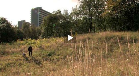 Film om landskapskonvensjonen