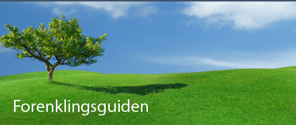Forenklingsguiden