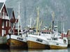 Fiskebåter