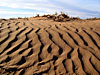 From Sahara. Photo: Istockphoto
