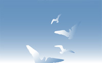 Peace and reconciliation
