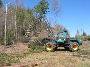 Bioenergi. Skogbruk. Foto: Roar Flatland