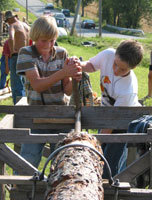 Streif, Barn borrer i tømmer, Foto: LMD