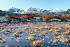 Rondane nasjonalpark. Foto: Bård Løken