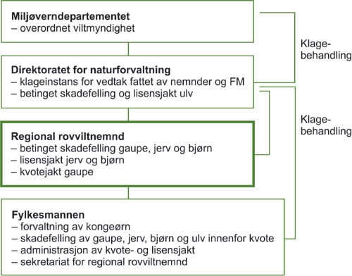 Organisering av ansvar