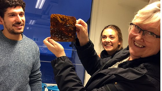 EØS- og EU-ministeren besøkte Seaweed Energy Solutions (SES) som produserer og forsker på tare. Foto: Ragnhild Berg Nilsen, UD