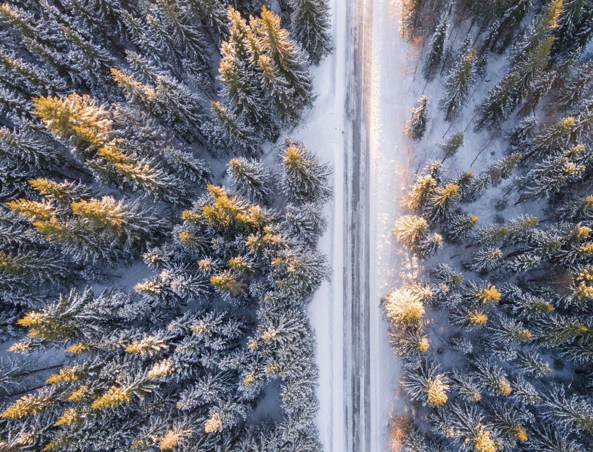 Snow covered forest with a road passing through. Seen from above.