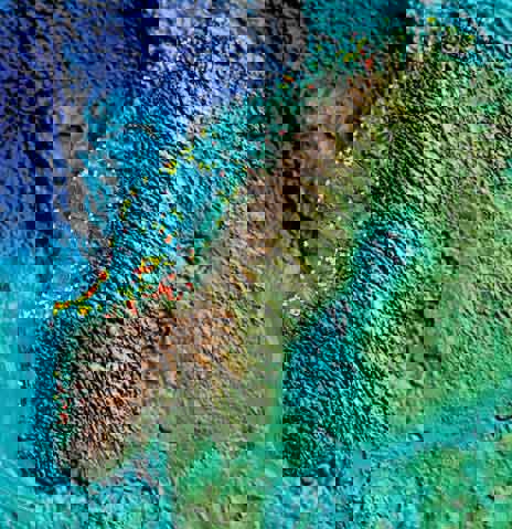 Figur 3.1 Forekomst av korallrev