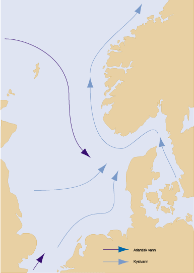 Figur 6.2 Oversikt over havstrømmene fra sørlige del
 av Nordsjøen og Kattegat til Skagerrak.