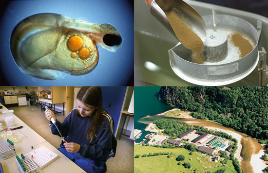 Figure 7.4 Photo: Embryo: Aqvaforsk. Others: Ewos AS