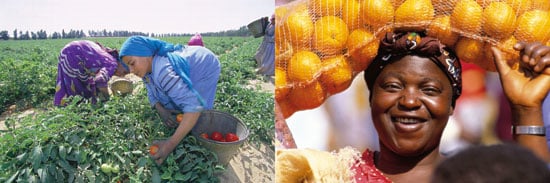 Figure 7.5 Photo: © Yara International