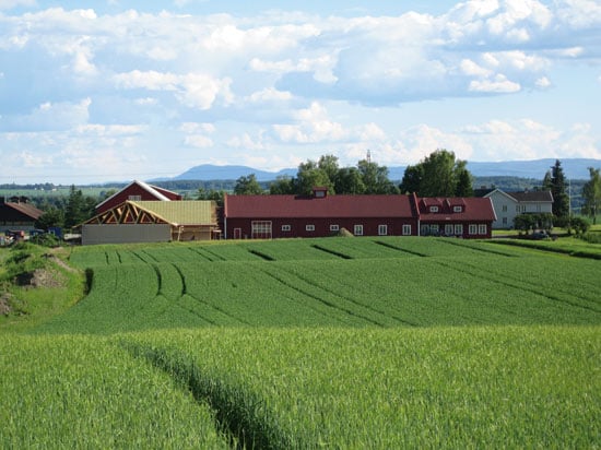 Figure 7.8 Photo: Graminor