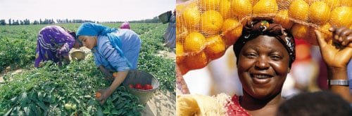 Figur 7.5 Grønn revolusjon i Afrika: Yara har vært
 tilstede i Afrika i 25 år. Yara legger stor vekt på kunne veilede
 matprodusentene i Afrika med et helhetlig faglig program både
 mht jordarbeiding, riktige driftsformer i landbruket, riktig bruk
 av mine...