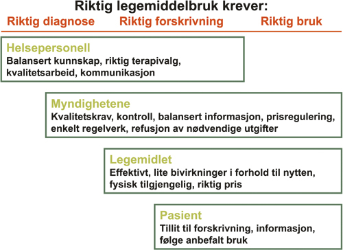 Figur 3.2 Faktorer som fremmer riktig legemiddelbruk