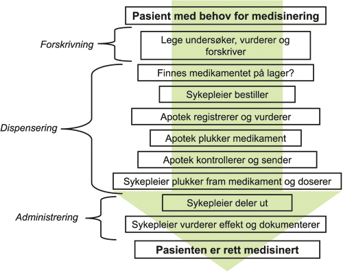 Figur 4.1 Legemiddelhåndtering i pleie- og omsorgstjenester