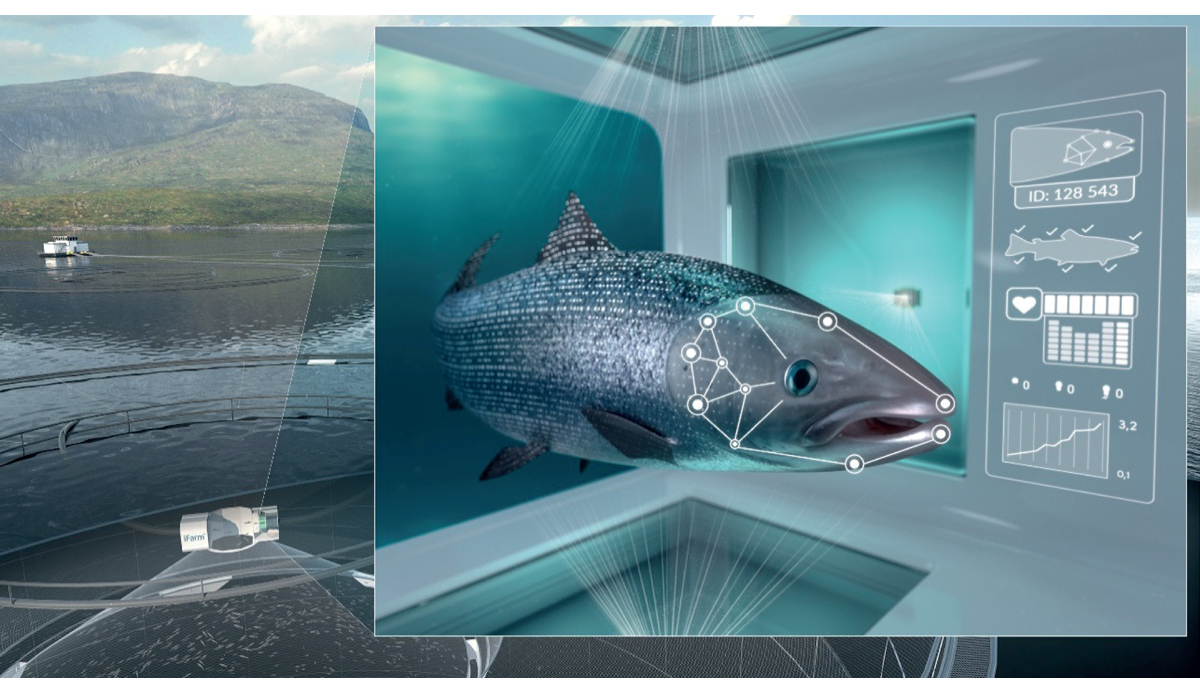 Figur 10.8 Bildegjenkjenning i iFarm løsningen