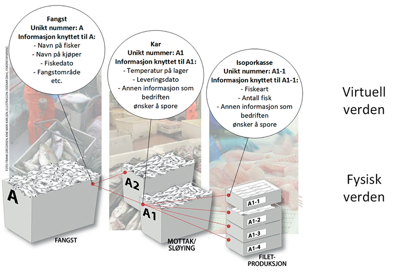 Figur 11.5 Sporbarhet består av en fysisk- og virtuell verden