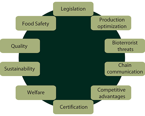 Figur 11.6 Drivere for sporbarhet av mat