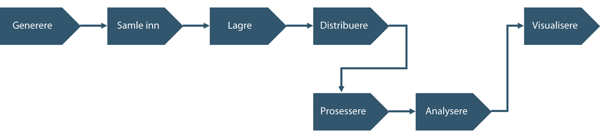 Figur 9.3 Prosess for nyttiggjøring av stordata
