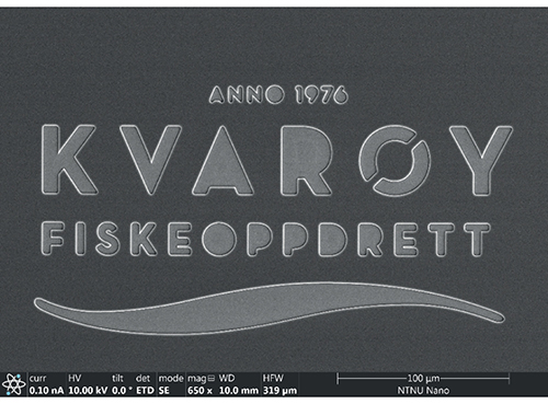 Figur 9.7 Eksempel på merking med nanoteknologi