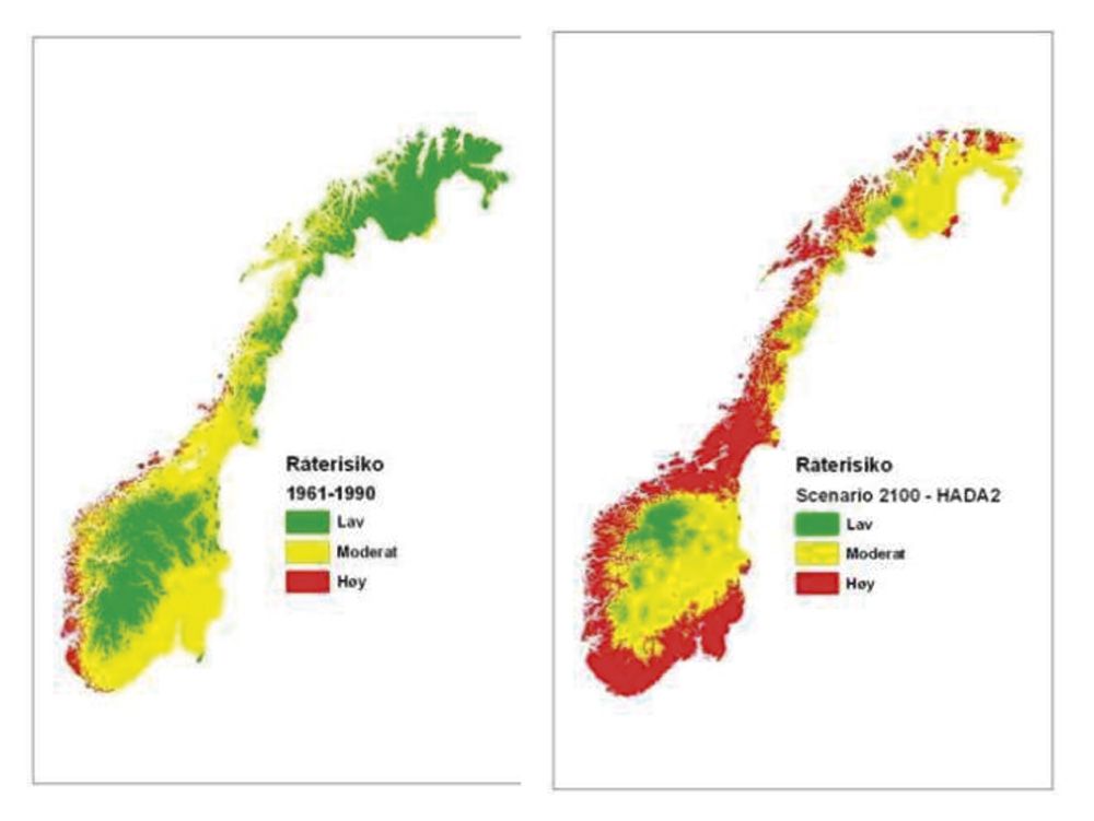 Figur 9.3 Potensiell råterisiko i Noreg i dag og for år 2100. Vi ser at store delar av landet hamnar i høg råterisikoklasse i framtida (basert på Scheffer 1971, Lisø m fl., 2006 og Øyen mfl. 2010).