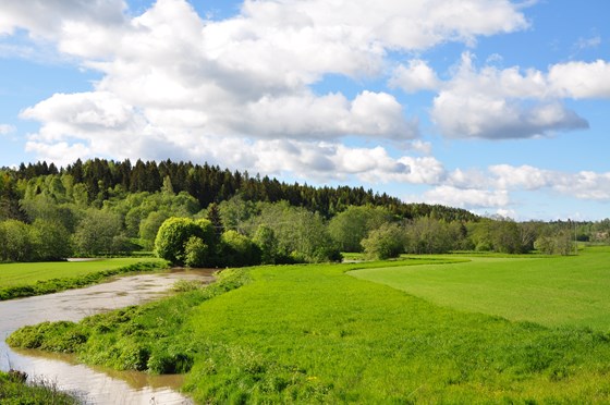 Regionale miljøkrav, her vist som en buffersone langs Hobølelva.