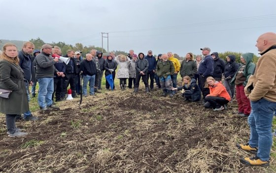 Forskere, rådgiver og bønder på markvandring om jordliv og bygging av humus på Sørli gård i Skjeberg.