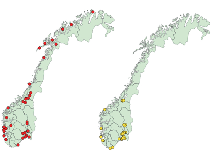Figur 3.2 Geografisk spredning av fagkoler. Offentlig (rød) og privat (gul).
