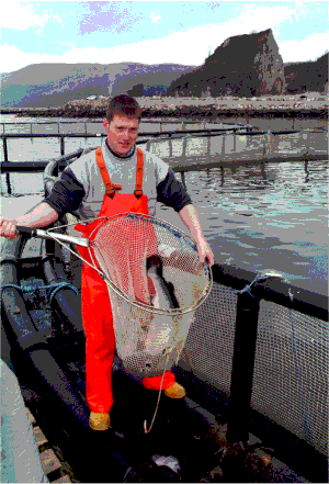 Figur 3.2 Forbedret markedsadgang for sjømat er en viktig målsetting for Norge