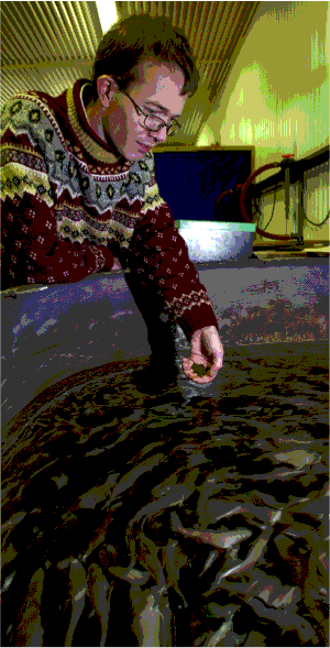 Figur 5.3 Regjeringen vil styrke forskningsinnsatsen i Norge