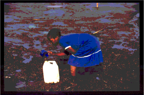 Figur 6.4 Omkring 1,2 milliarder mennesker mangler tilgang til rent drikkevann