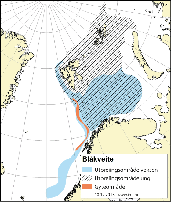 Figur 4.15 Utbreiingsområde og gyteområde for nordaustarktisk blåkveite