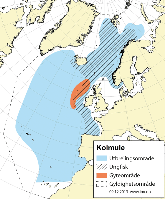 Figur 4.32 Utbreiingsområde og gyteområde for nordaustatlantisk kolmule