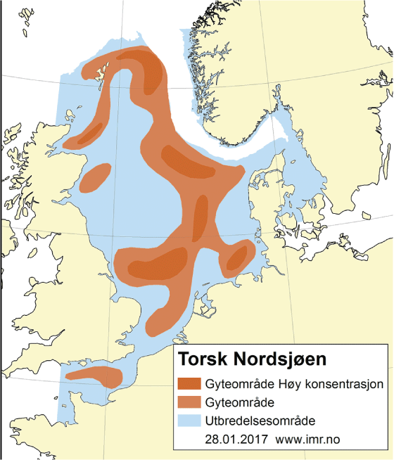 Figur 4.44 Utbreiingsområde og gyteområde for torsk i Nordsjøen, Skagerrak og den austlege engelske kanalen