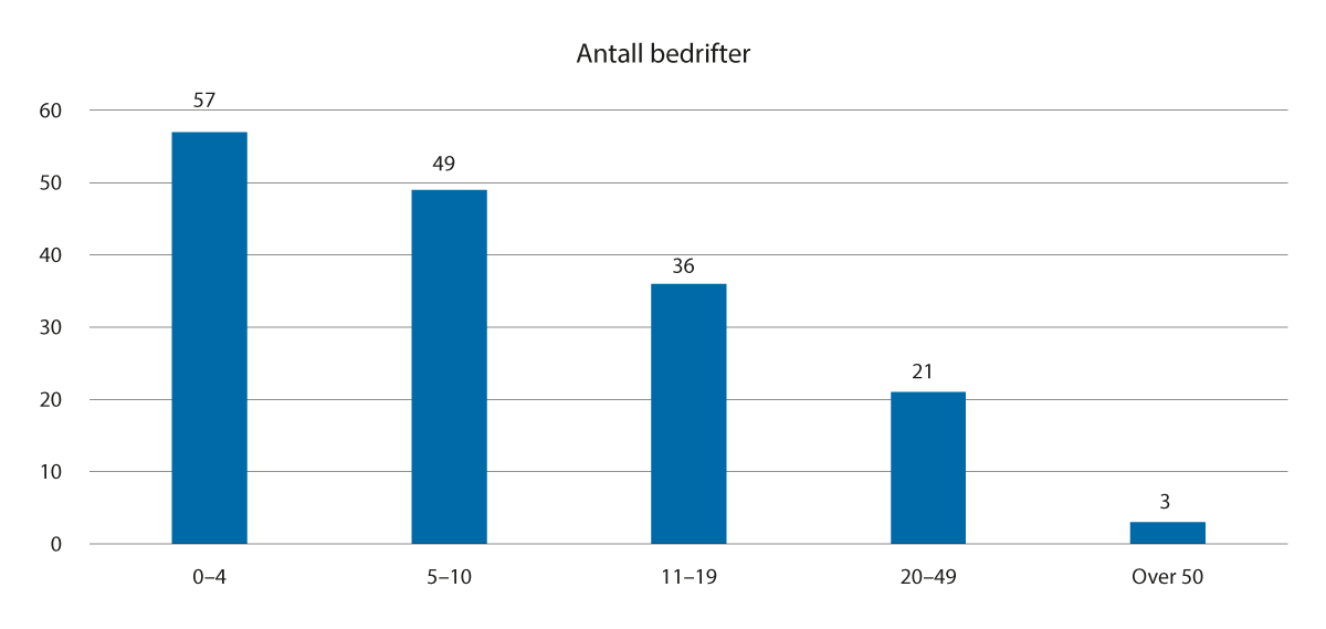 Figur 3.7 Sysselsetting i vekstbedriftene i 2022 (regnskapstall)