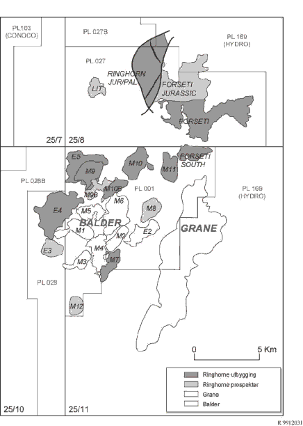 Figur 2.2 Funn og prospekter i Ringhorne