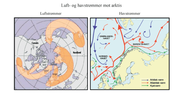 Figur 6.11 Luft- og havstrømmer mot Arktis