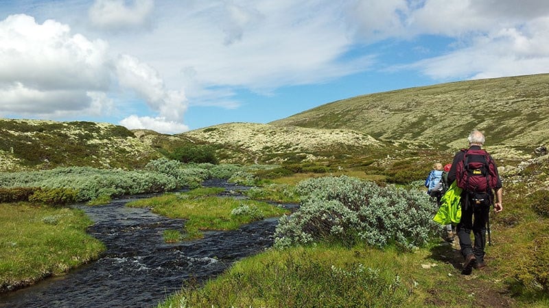 Nasjonalpark er ein av vernekategoriane i naturmangfoldloven. Rondane nasjonalpark var Norges første nasjonalpark og feiret 50-års jubileum i 2012. Foto: Ida Sletsjøe.