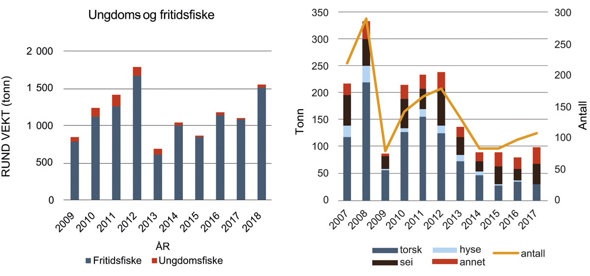 Figur 4.22 Ungdoms og fritidsfiske av torsk i tonn 2008–2017 og ungdomsfiske i Råfisklaget 2007–2017. 
