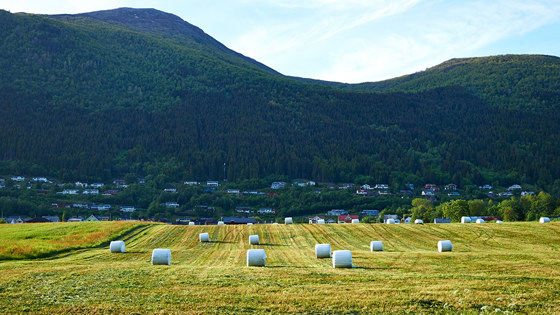 Åker og skog i Norge