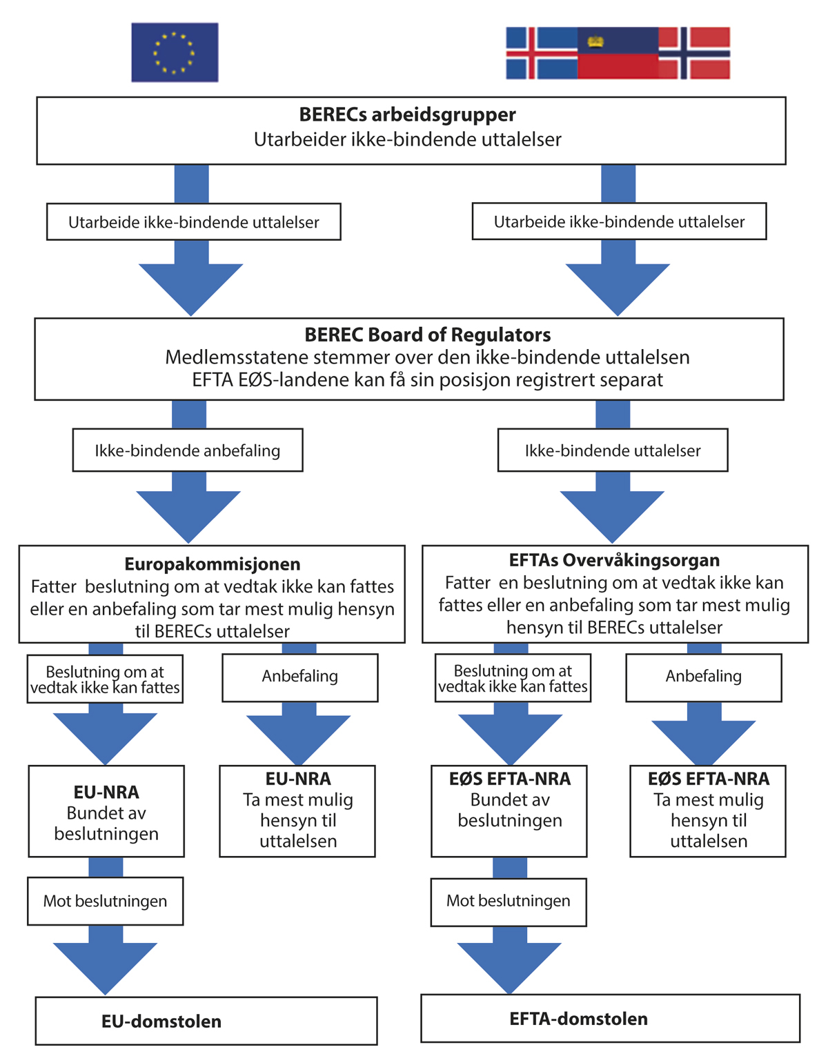Figur 8.1 Konsultasjonsprosedyren.