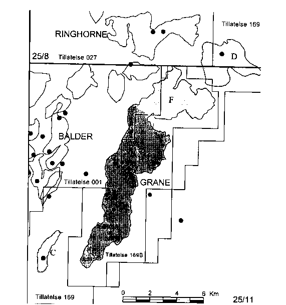 Figur 3.2 Funn og prospekter i Grane