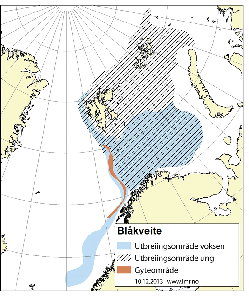 Figur 4.15 Utbreiingsområde og gyteområde for nordaustarktisk blåkveite