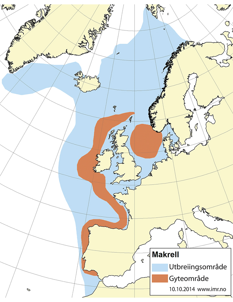 Figur 4.29 Utbreiingsområde og gyteområde for nordaustatlantisk makrell