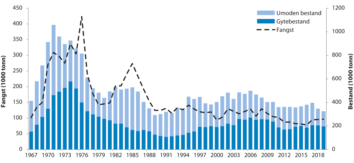 Figur 4.42 Utviklinga i bestand og fangst av sei i Nordsjøen, Skagerrak og vest av Skottland