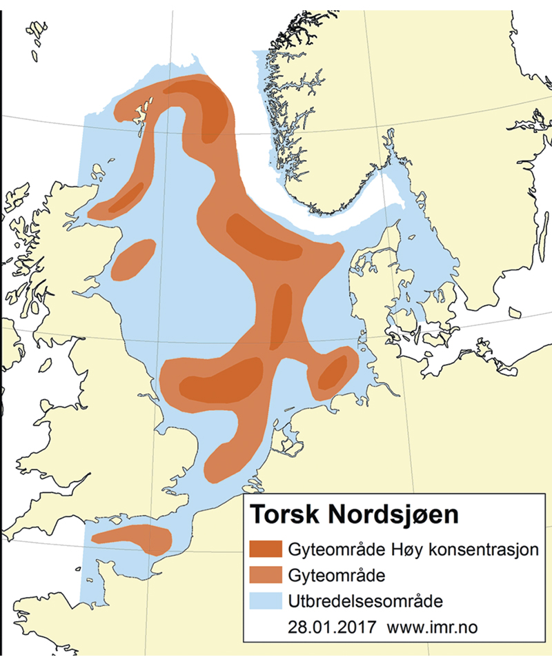 Figur 4.44 Utbreiingsområde og gyteområde for torsk i Nordsjøen, Skagerrak og den austlege engelske kanalen