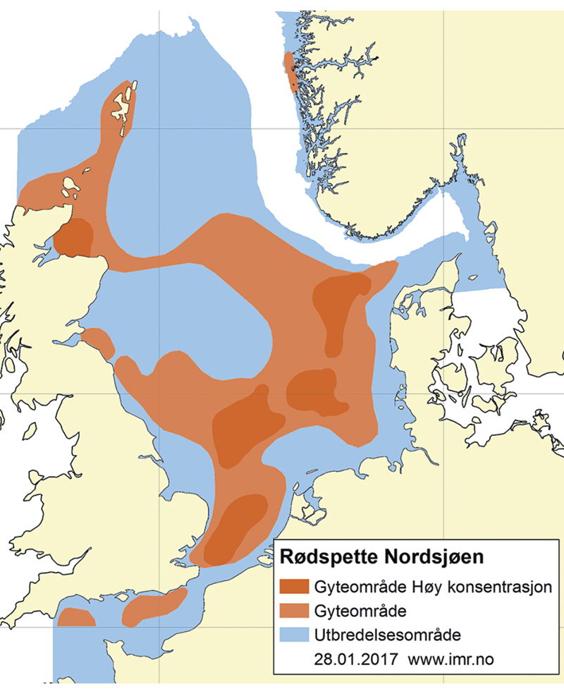 Figur 4.53 Utbreiingsområde og gyteområde for raudspette i Nordsjøen og Skagerrak