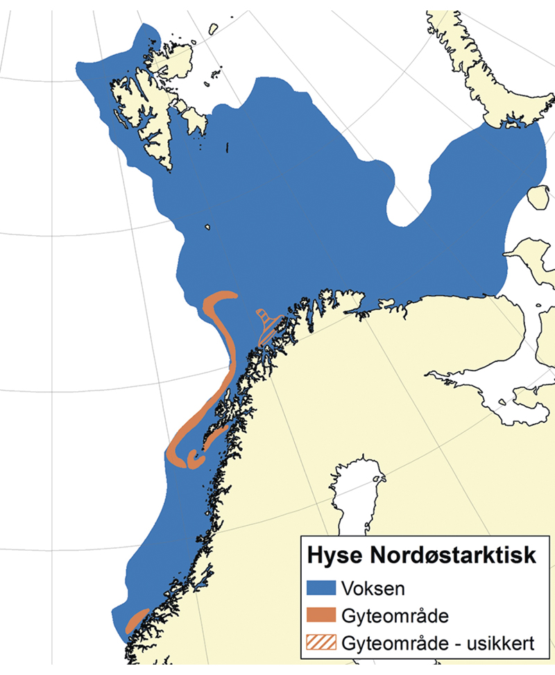 Figur 4.9 Utbreiingsområde og gyteområde for nordaustarktisk hyse