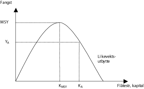 Figur 3.1 Lang- og kortsiktig overkapasitet