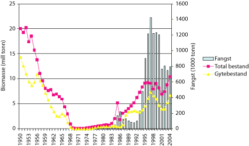 Figur 5.2 NVG-sild – biomasse 1975 – 2004 og fangst
 1950 – 2004